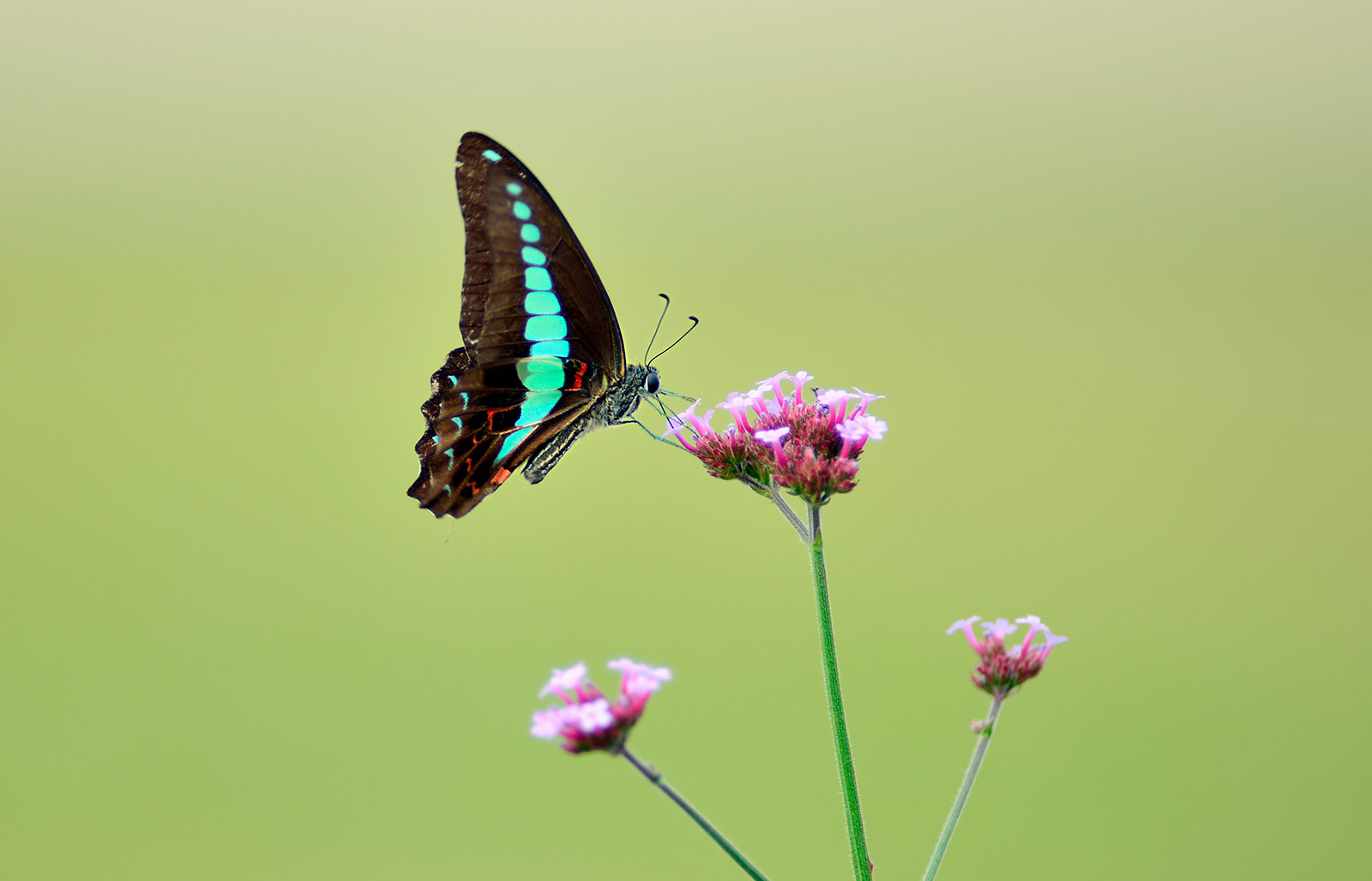 第9篇关于二手（这是个沉重而有趣的话题）