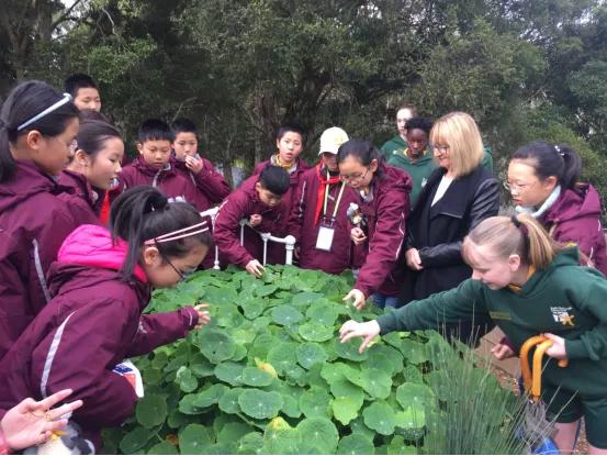 南京市金陵小学和园,南京市六合金陵小学
