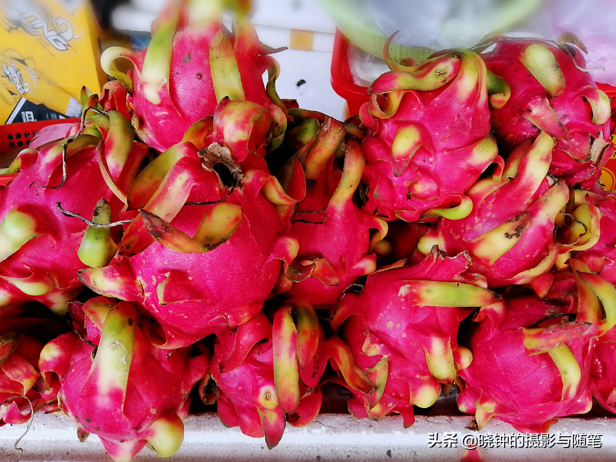 越南有啥水果品种好,越南有什么水果比较出名