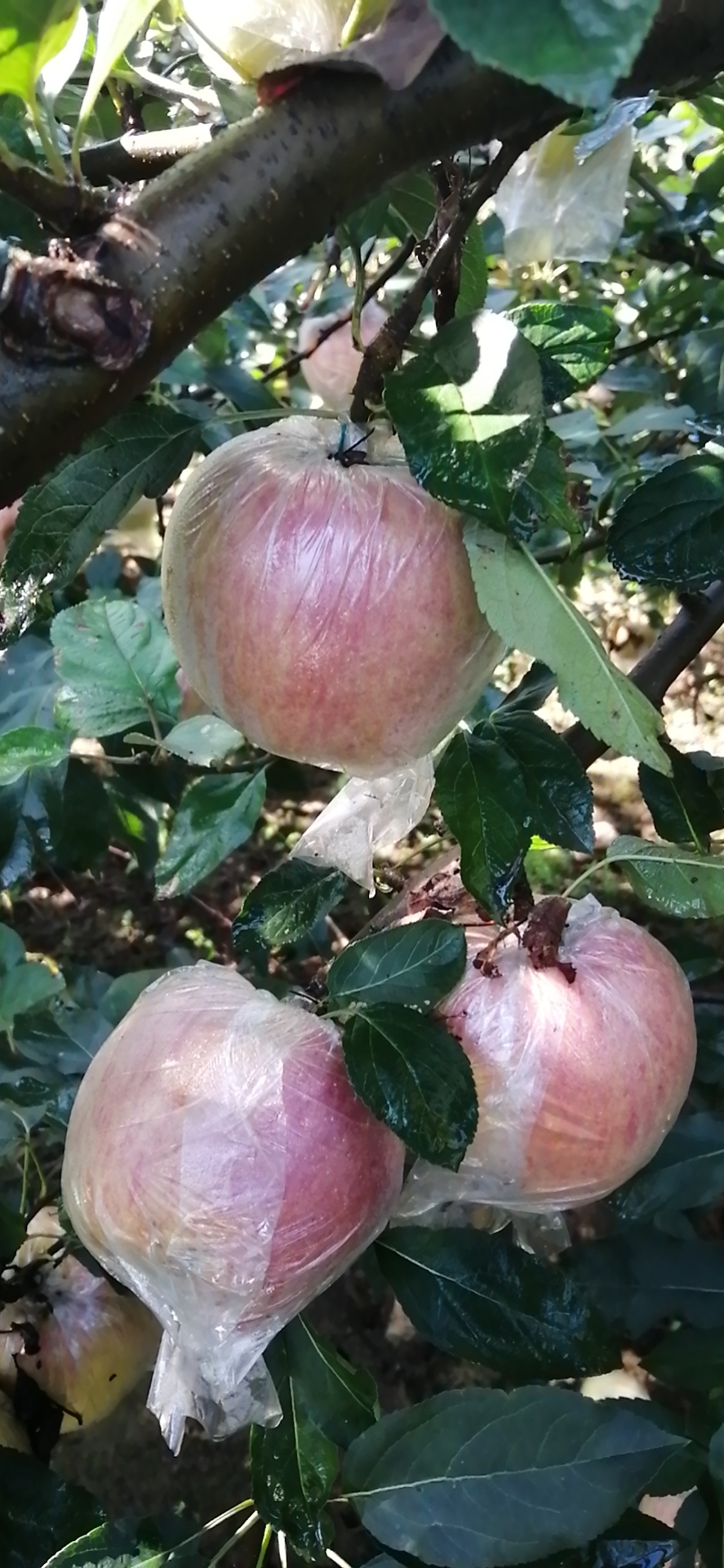 满怀豪情迎接新的一年到来,满怀激情迎接新学期视频