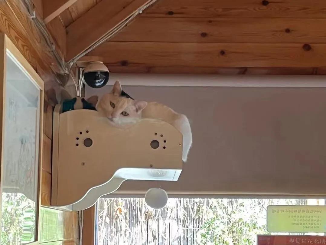 浣犺兘鐚滃嚭璋佺畻鎴戣緭,浣犵寽寰楀嚭鏉ョ畻鎴戣緭