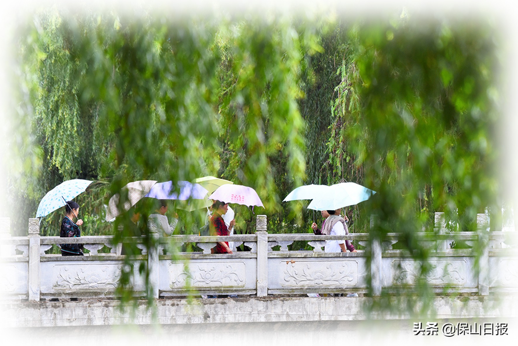 保山:绿水青山牵手“大健康”