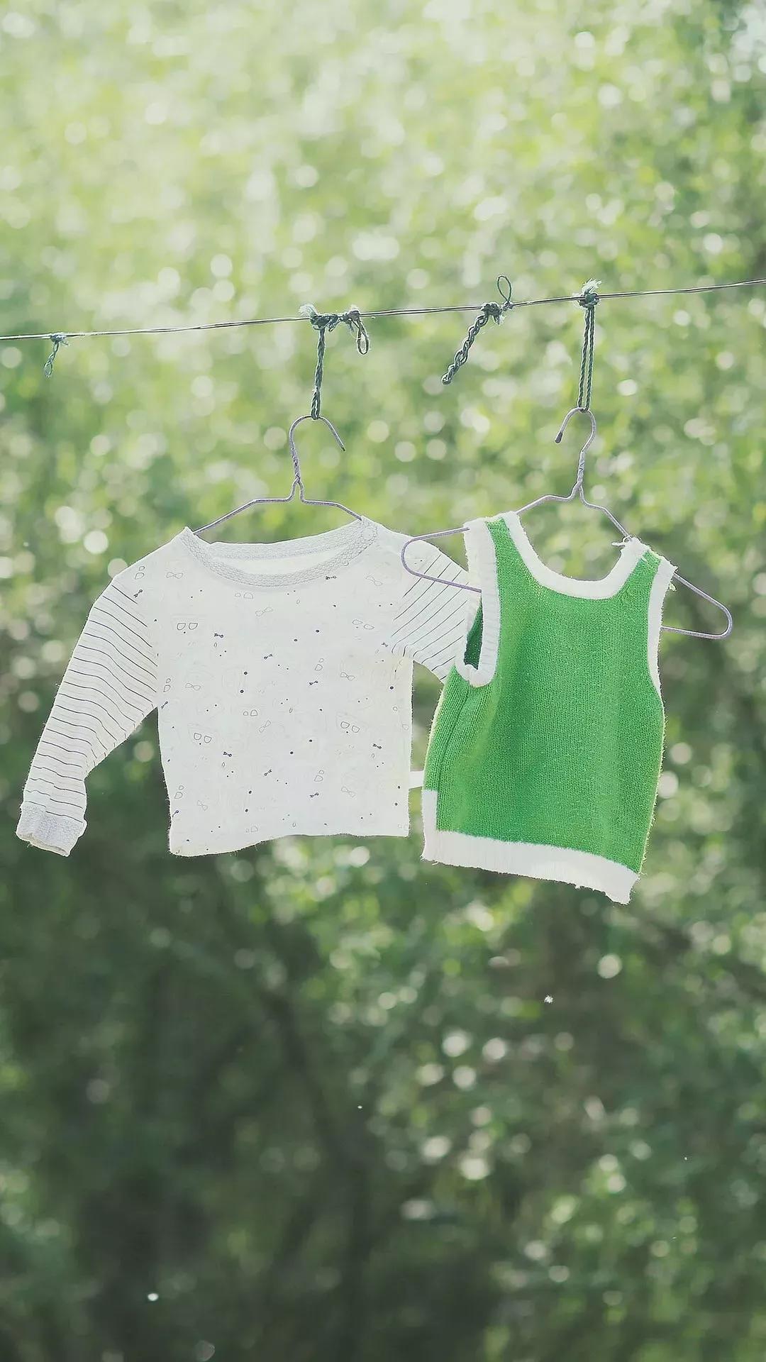 什么颜色的壁纸保护眼睛,保护眼睛的绿色壁纸唯美高清