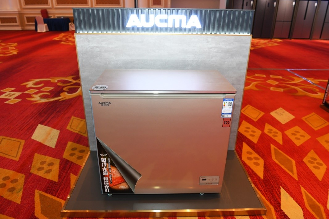 澳柯玛冰柜商用大容量,澳柯玛冰柜206g哪一款更适合家用