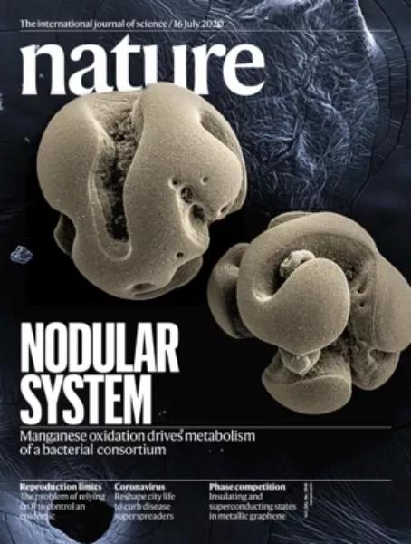 《自然》（20200716出版）一周论文导读
