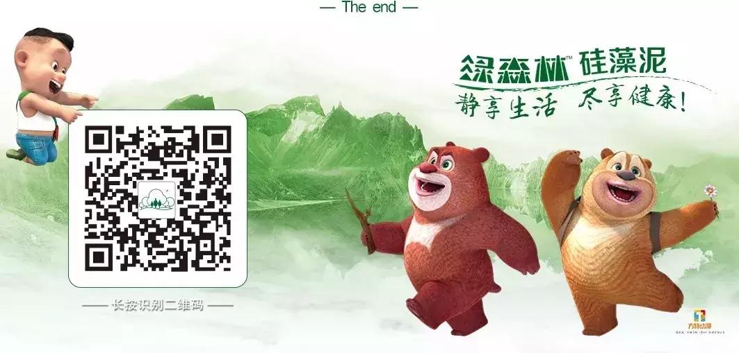 绿森林硅藻泥和兰舍硅藻泥的区别,兰舍硅藻泥介绍