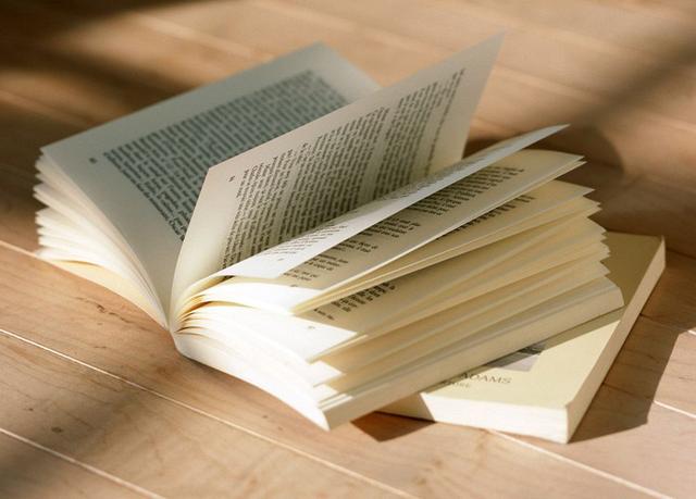 2019年努力过上更好的生活,2019年最美好的一件事