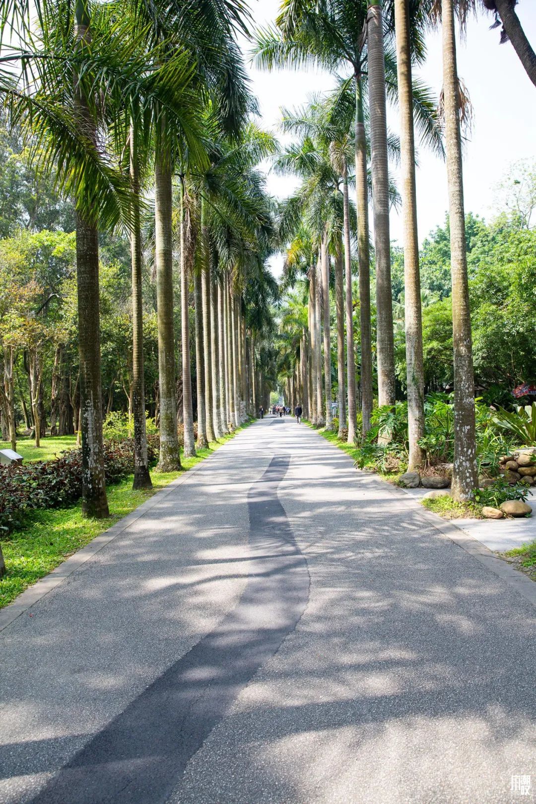 300+万㎡原始森林秘境，天河就有