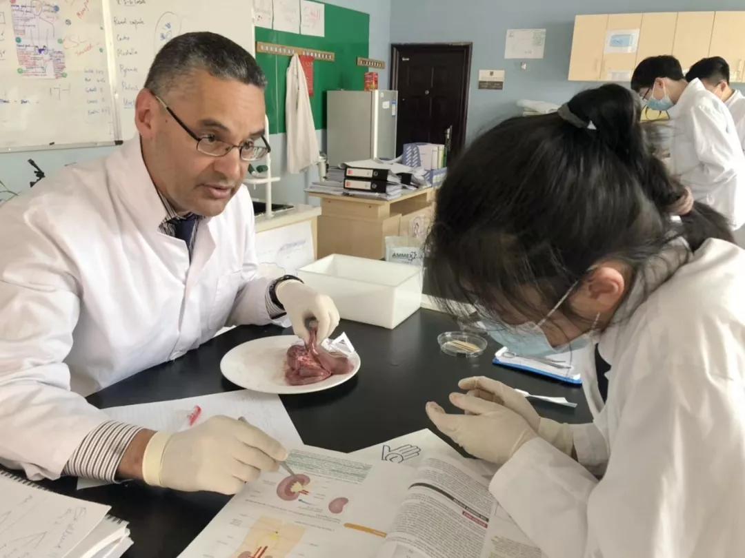 牛津国际公学成都分校多少钱一年,牛津国际公学招生简章