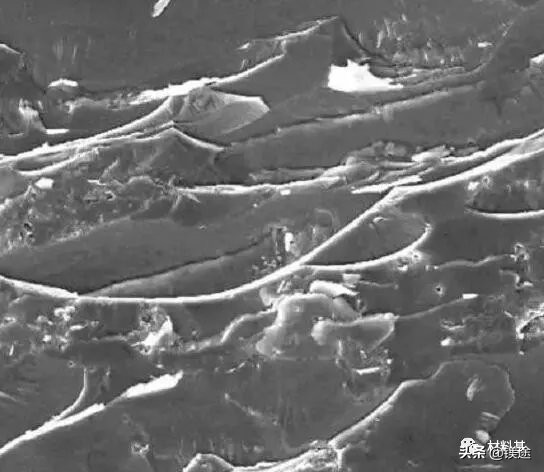 sem扫描电镜使用手册,一文看懂超声诊断