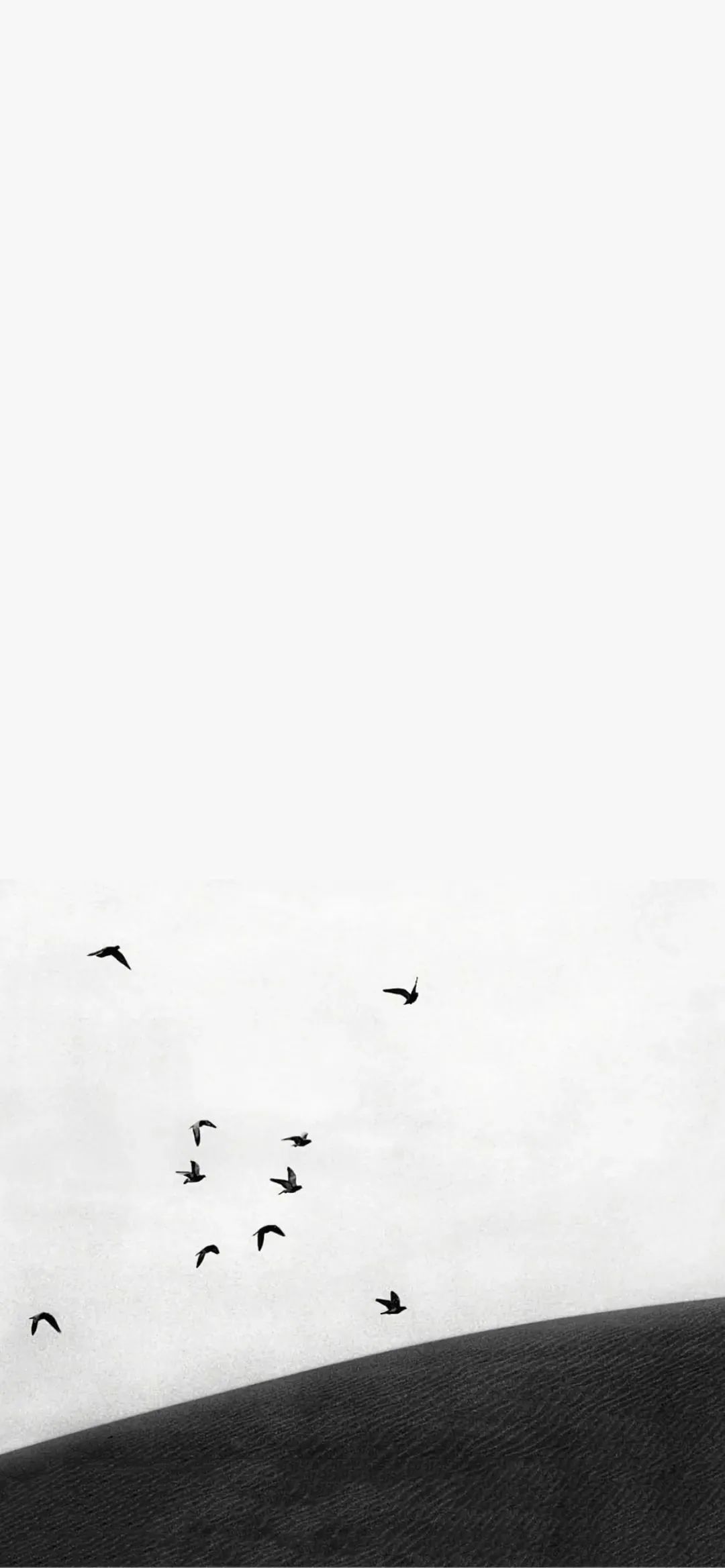 壁纸不要寄希望于别人多看自己,壁纸接受事与愿违