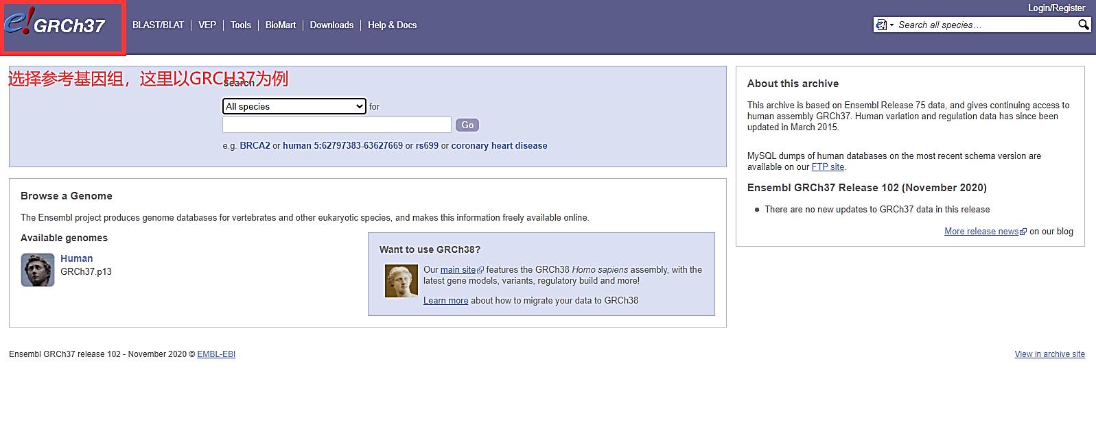 使用Ensembl数据库批量*载下**基因SNP位点信息