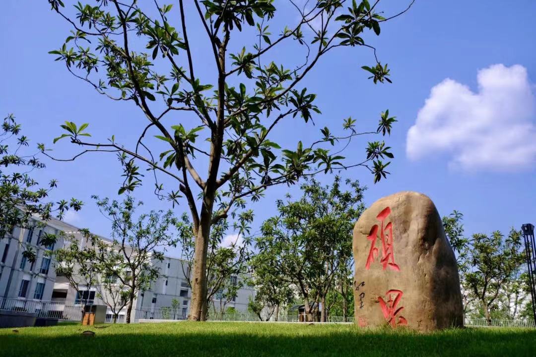 两江南开中学第一届的中考成绩,两江南开初中升高中升学率高吗