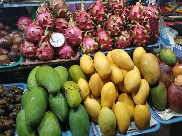 越南美女带妹子出游,越南美女旅游团