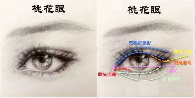把水光针当饭吃？这位网红简直丧心病狂！整容后年入千万