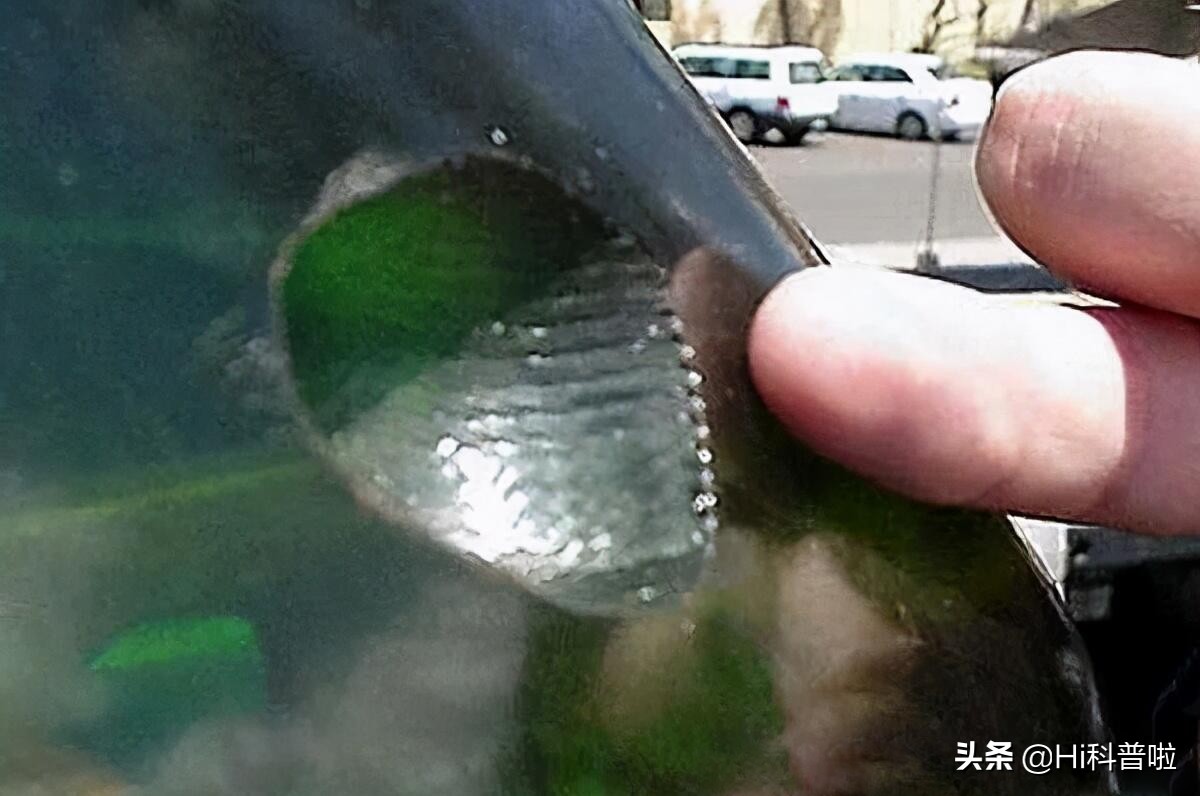 鐢熷悆铏庨哺鍜屽ぇ鐧介波鍜牬娼滆墖,澶х櫧椴ㄨ兘鍜牬铏庨哺