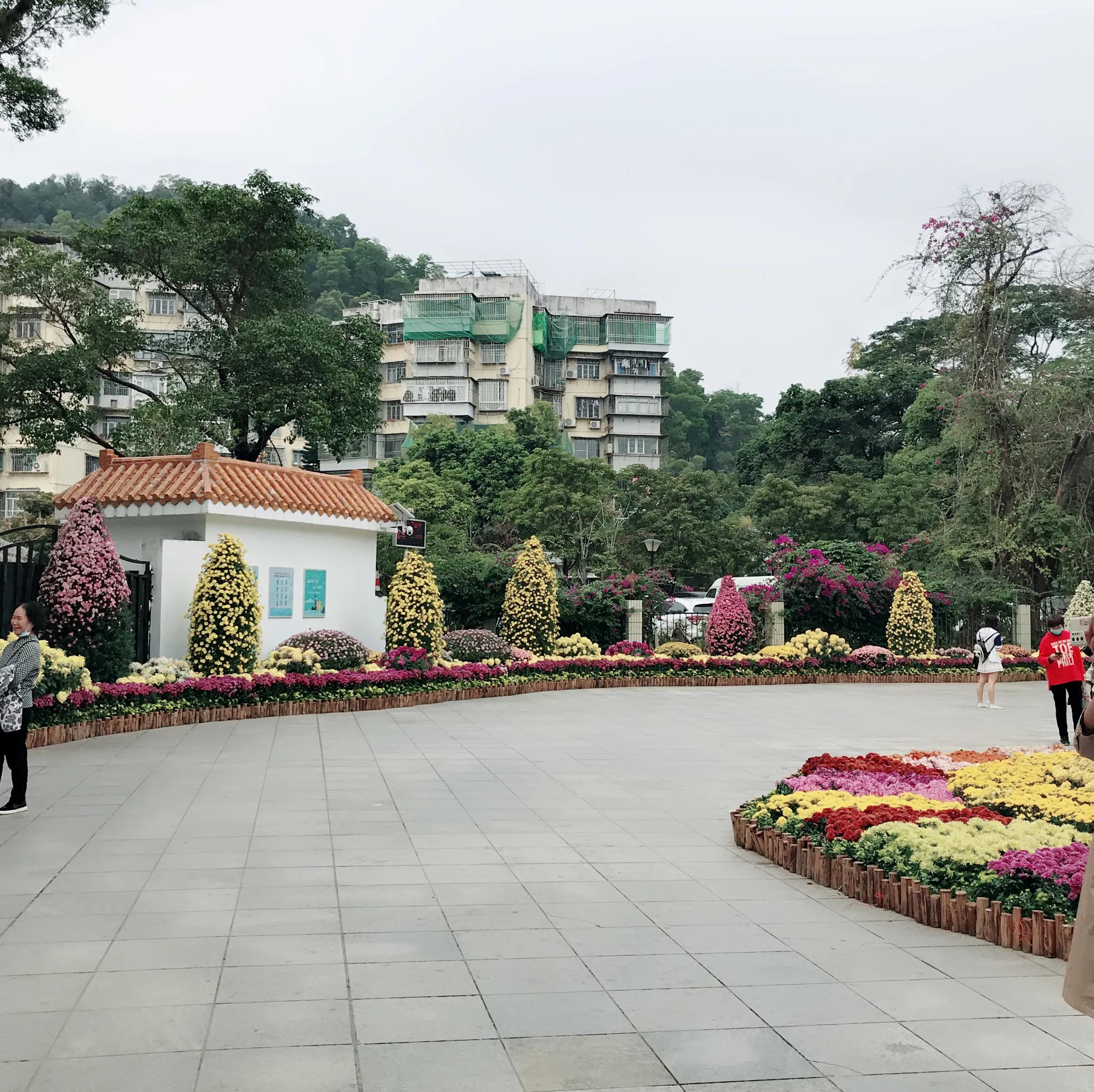 閬涘▋濂藉幓澶勮強鑺卞睍,娣卞湷閬涘▋鐪嬪睍