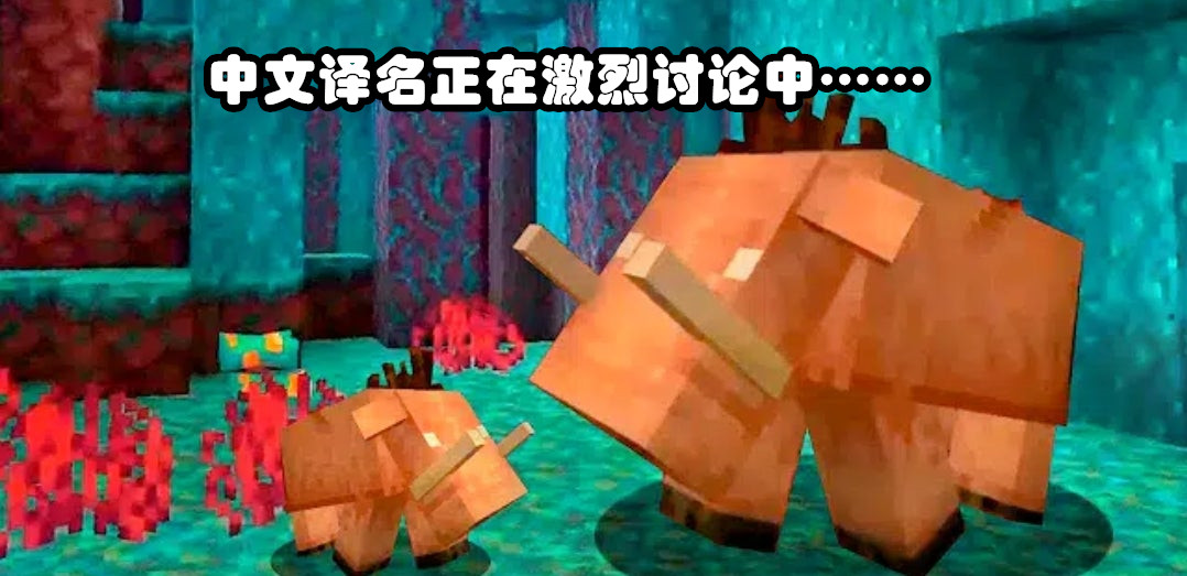 我的世界下界新生物,我的世界下界和末地新生物