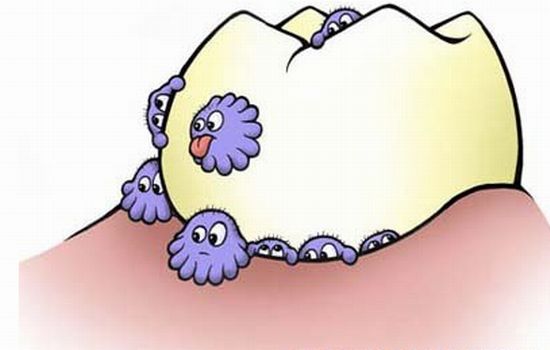 还在为牙疼烦恼吗,还在为牙齿健康而烦恼吗