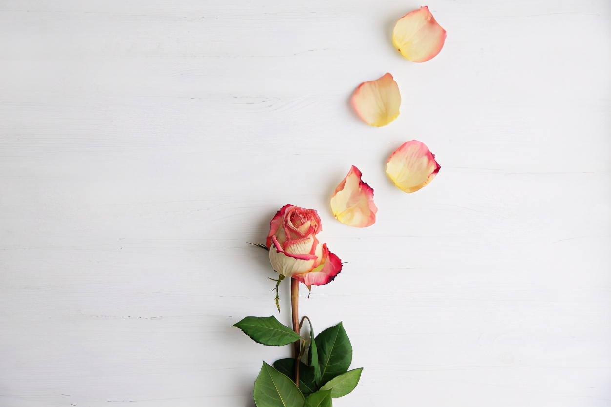 男人老是说你情商低是什么意思,男人情商低说三句话说明爱你