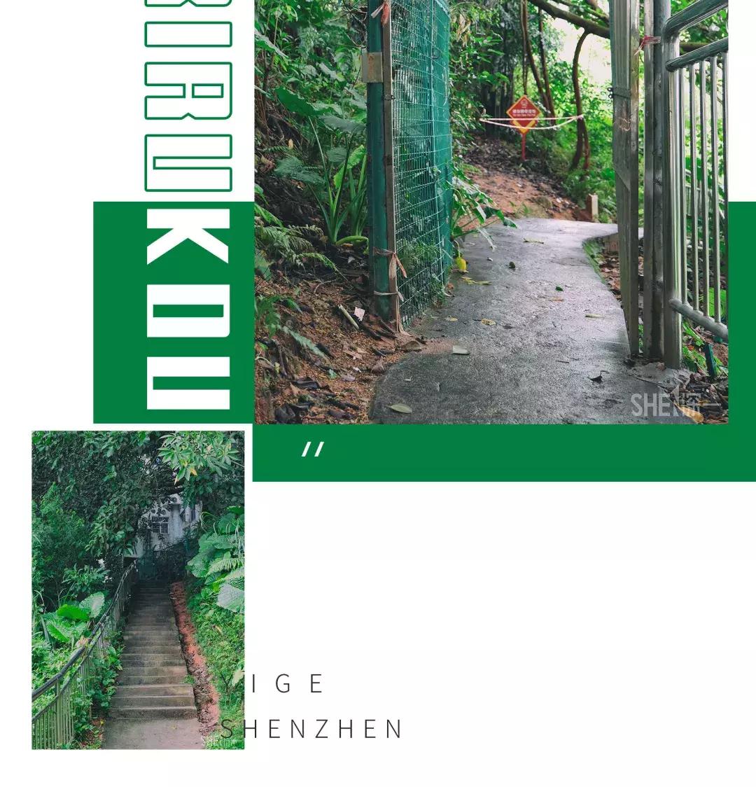 深圳市美美美,深圳最美免费水库