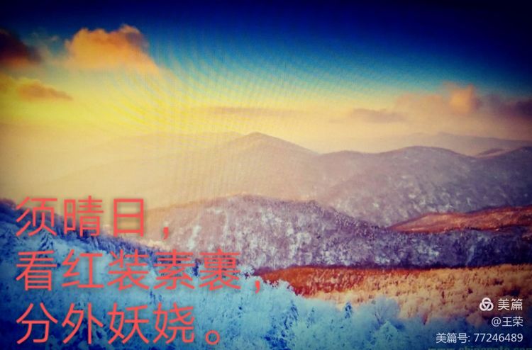 *园春沁**·雪毛*东泽**