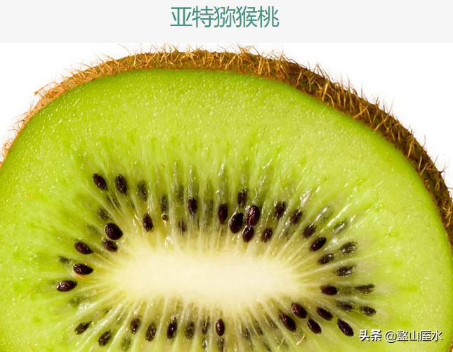眉县猕猴桃与周至猕猴桃有何区别,眉县猕猴桃和周至猕猴桃