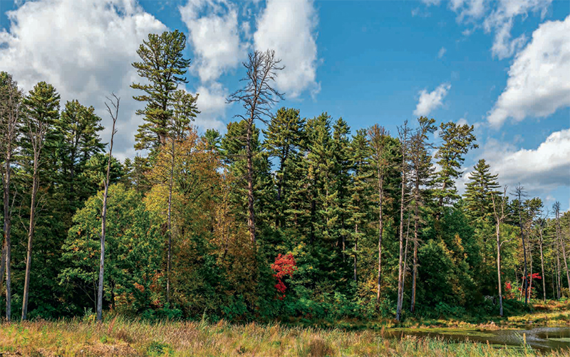 林草科学知识,林草科普类短视频