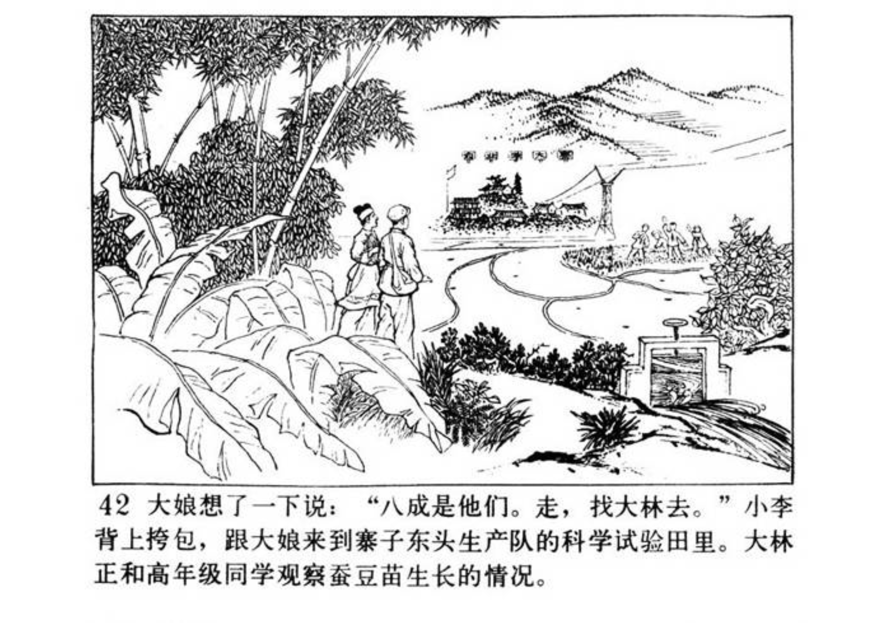 连环画小人书南瓜秧的秘密,小人书南瓜生蛋的秘密