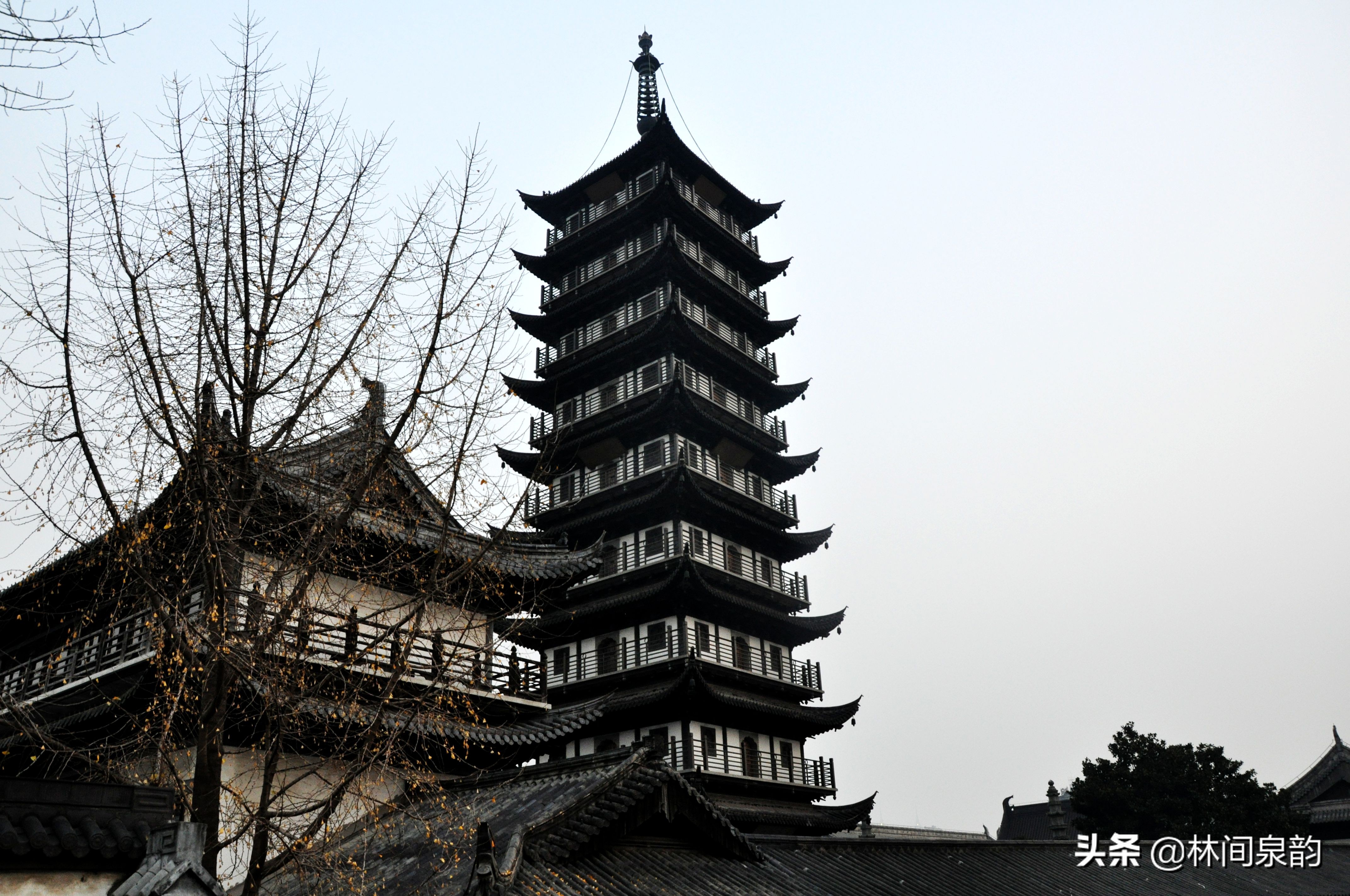 真如寺上海,上海真如寺有多少年历史