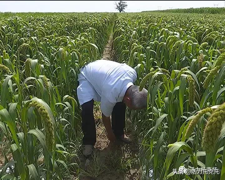 壮丽70年奋斗新时代相关资料,壮丽70年奋斗新时代总结