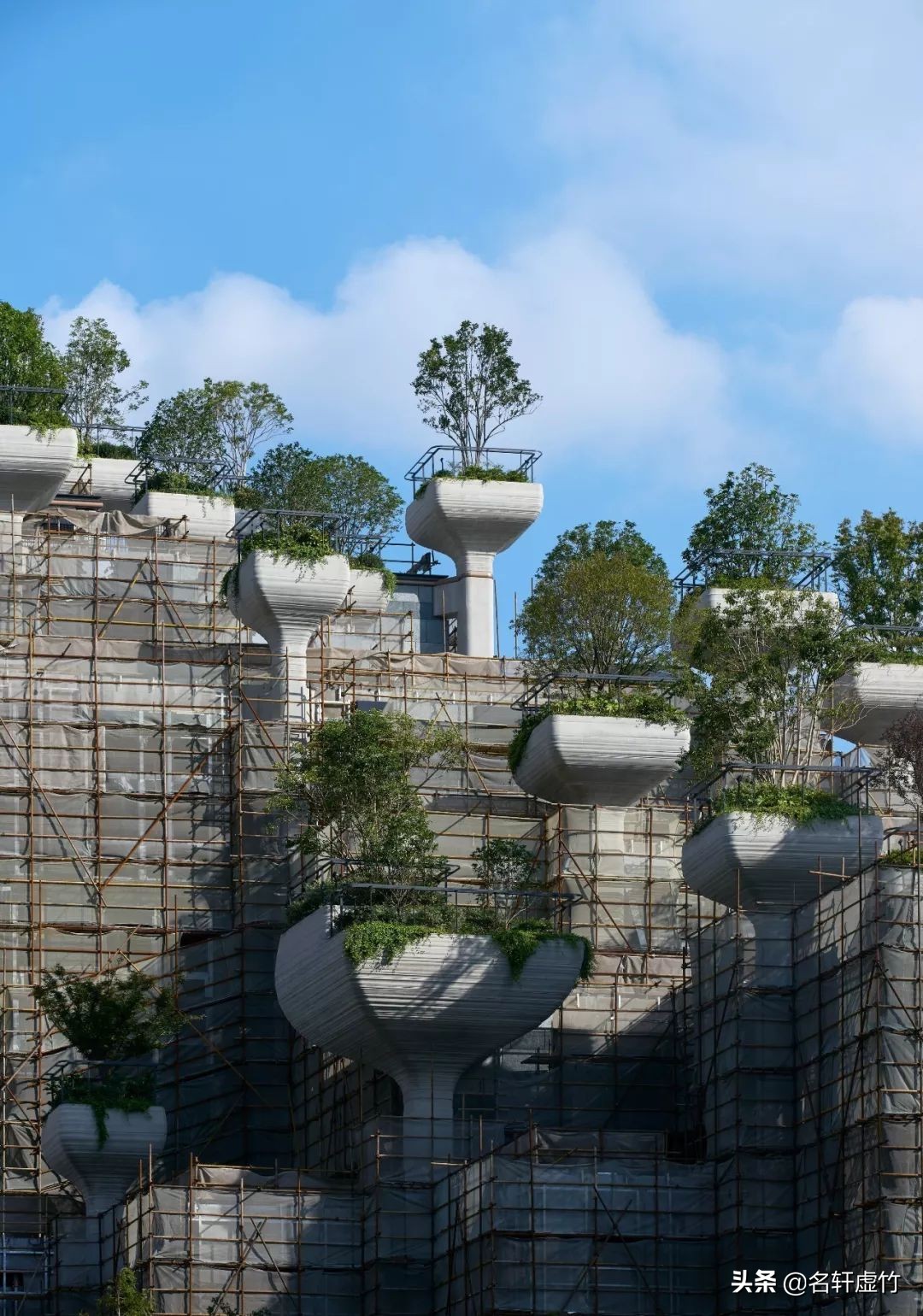 上海苏州河天安千树公园,天安千树苏州河畔空中花园