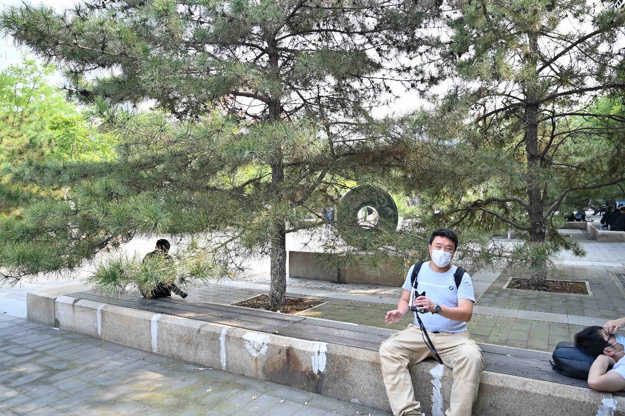 2020北京车展有什么看点,北京车展2020过程