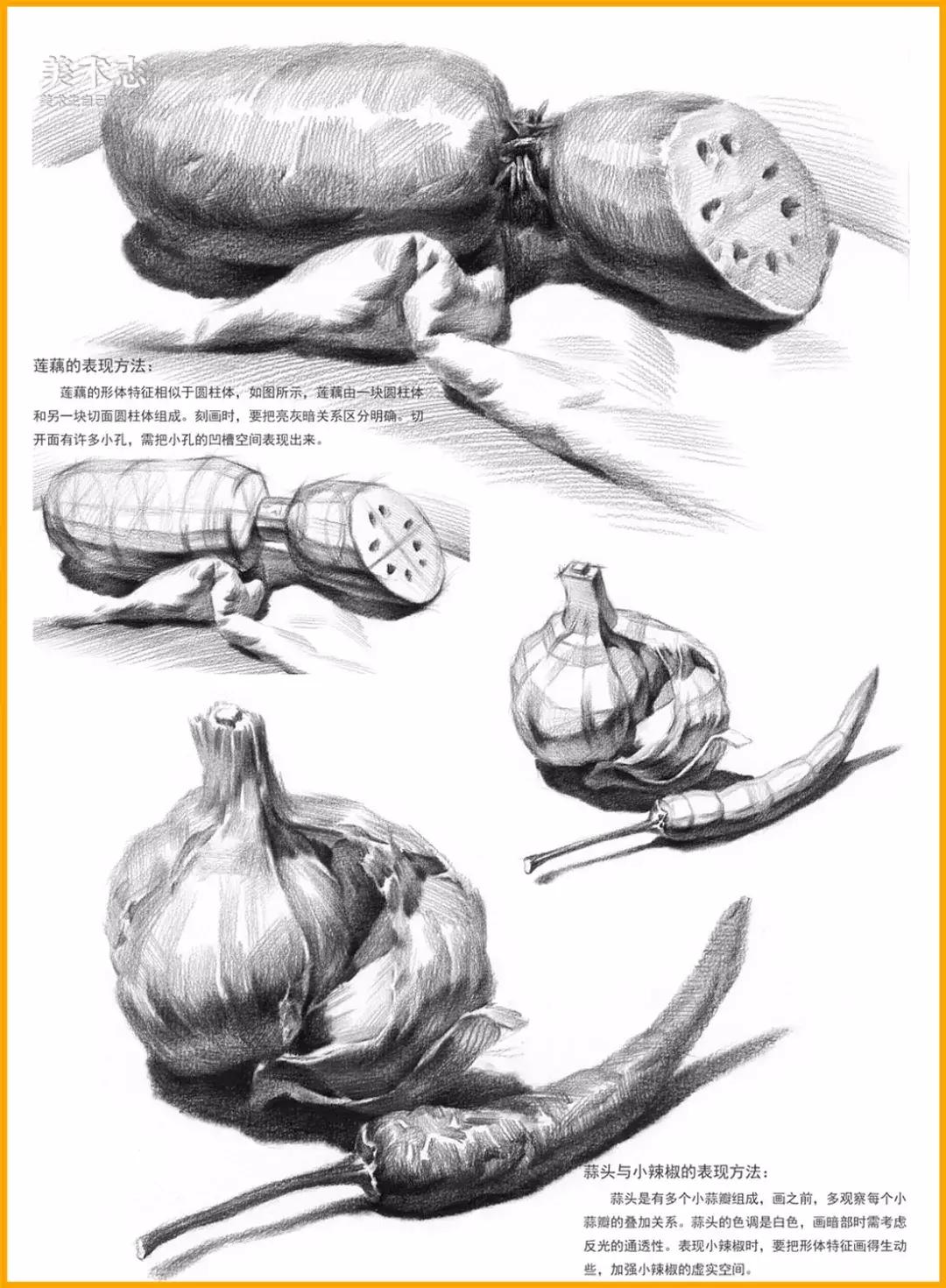 素描常见水果,适合新手的100幅素描画蔬菜水果