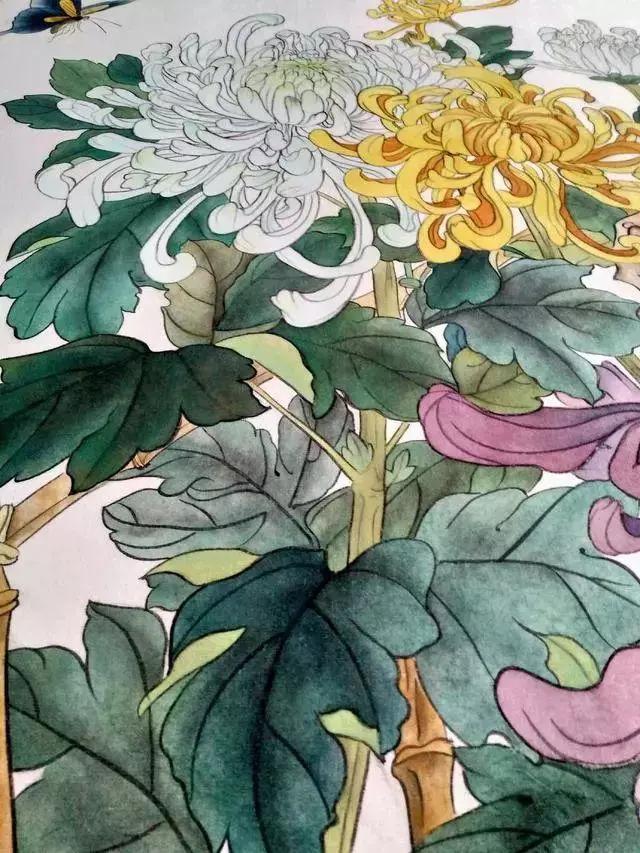 国画菊花教程工笔,工笔国画教程菊花蓝蝶