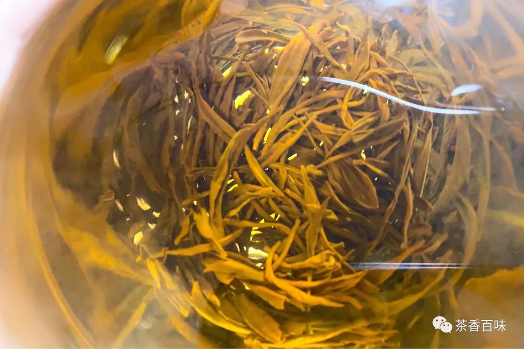 喝九曲红梅后的感受,九曲红梅为什么那么细