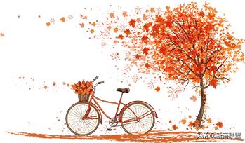 揭秘*疆新**马兰