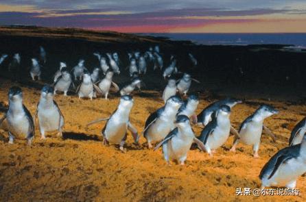 寒假亲子游最佳攻略,寒假国内亲子游攻略