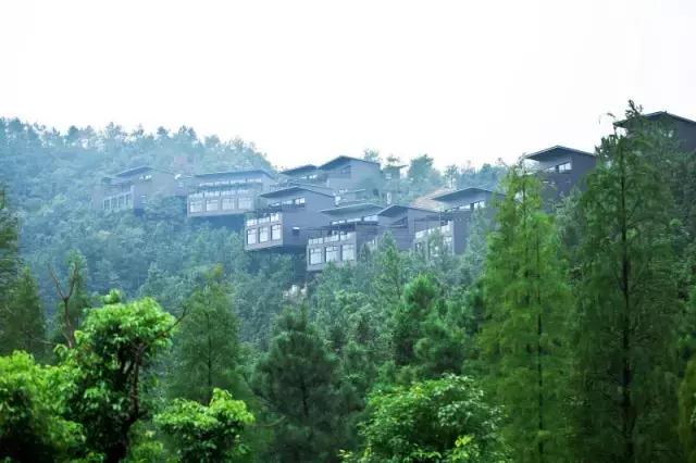 莫干山民宿20000一晚,莫干山民宿十八迈度假酒店