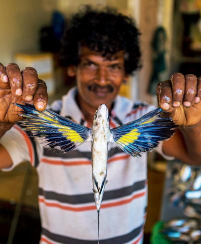 你可能没见过飞鱼,但是你一定吃过它的卵