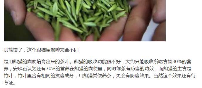 《动物管理局》熊猫康康送给师傅的熊猫屎竹青茶，现实真实存在