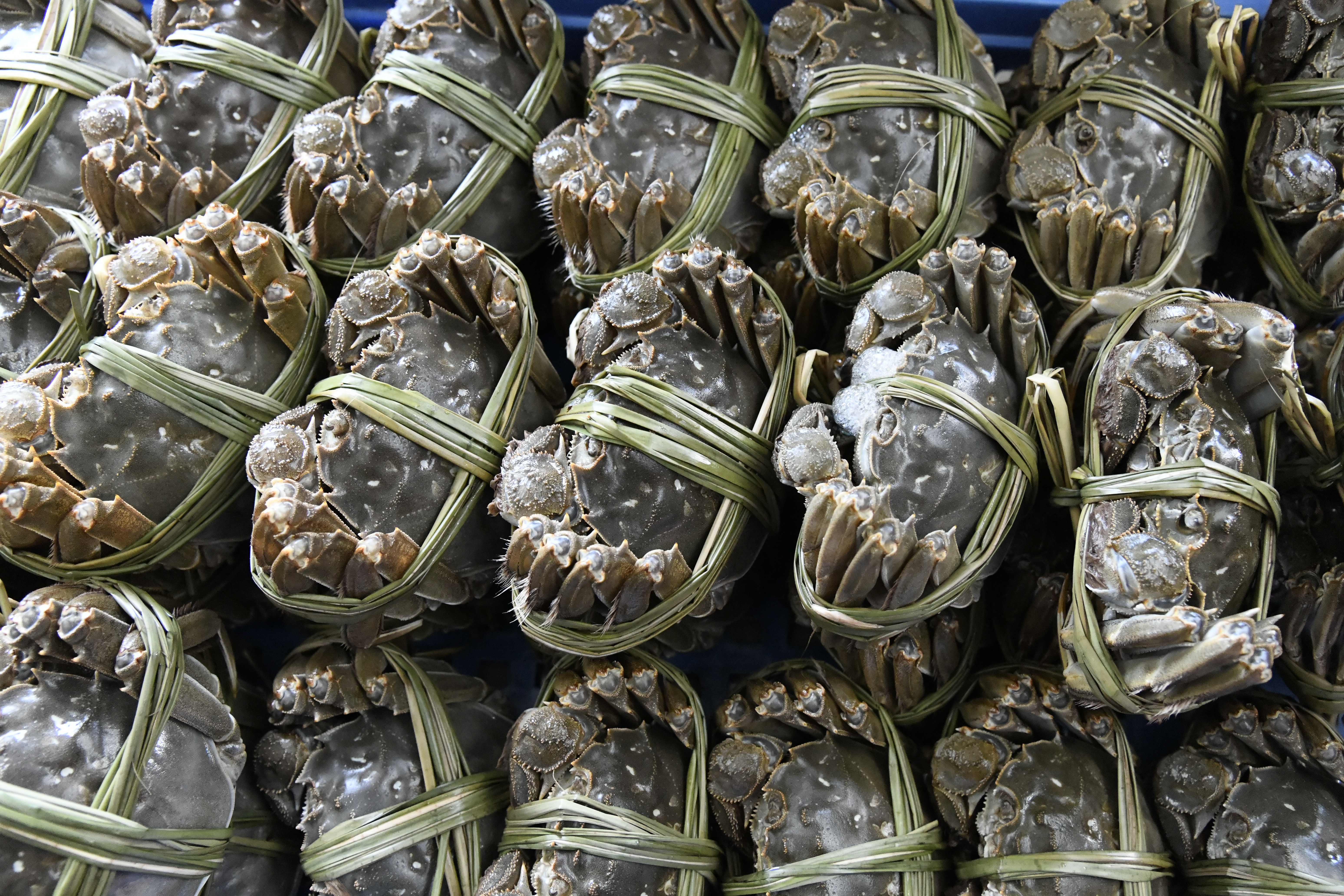 淮安洪泽湖大闸蟹文化节,首届洪泽湖网红大闸蟹