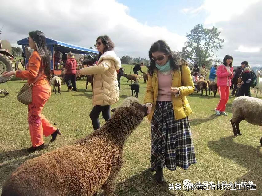 旅居新西兰,旅居新西兰有什么条件