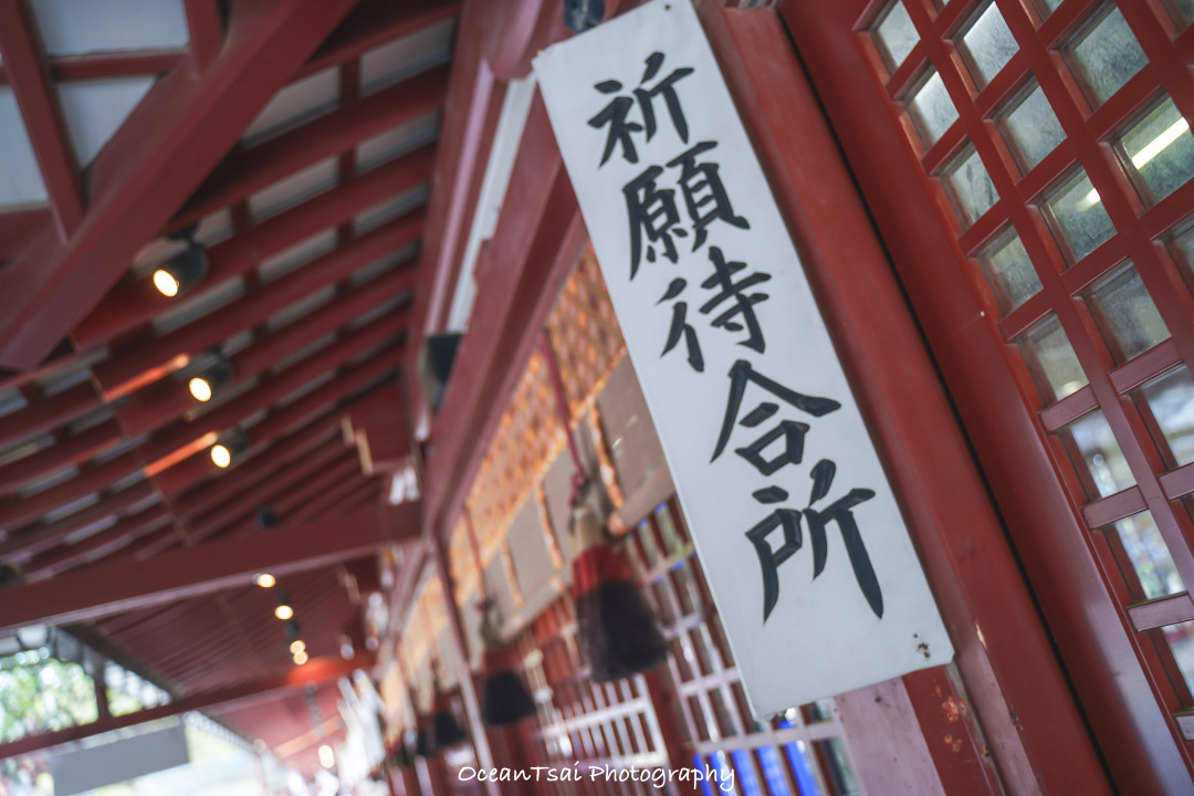 日本游轮游避坑,日本邮轮八天七夜具体行程