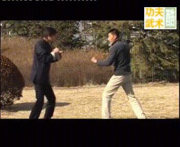 经典武术格斗技巧,各种武术格斗技巧