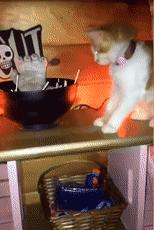 为过万圣节把房子改成鬼屋吓坏数千人，幸好我和这个老哥不是邻居