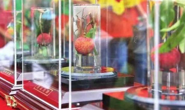 澳洲指橙有好吃的品种吗,澳洲指橙哪个品种好吃