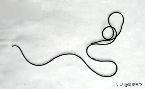 农村路上和水边看到会动的铁丝不要碰，对人真的有伤害呢？