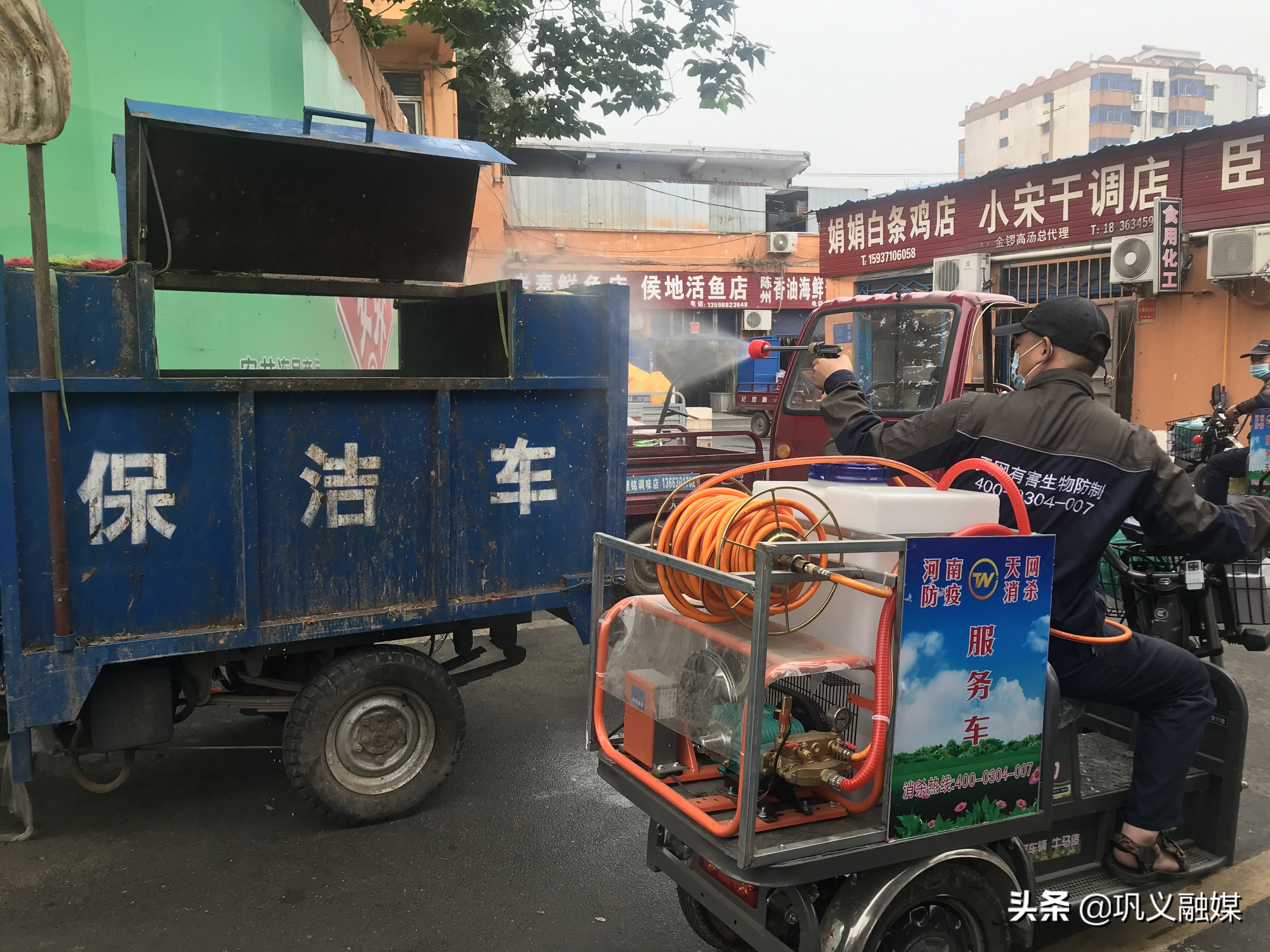 政府“买单”请专业队伍“除四害”