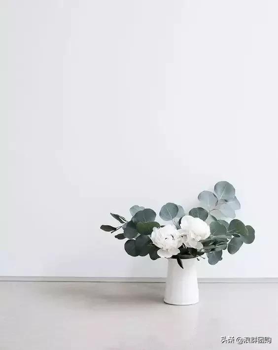 尤加利灰色好看吗,尤加利青配色图片